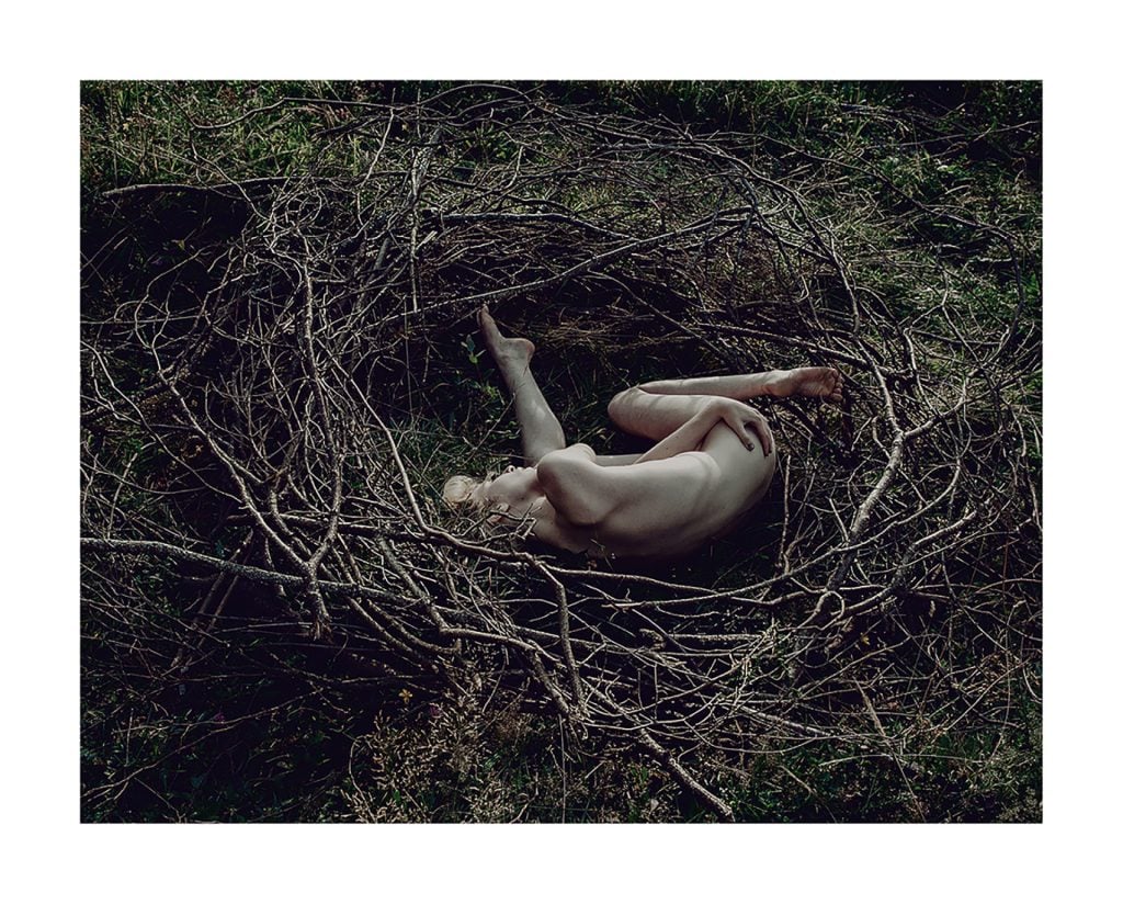 The Nest