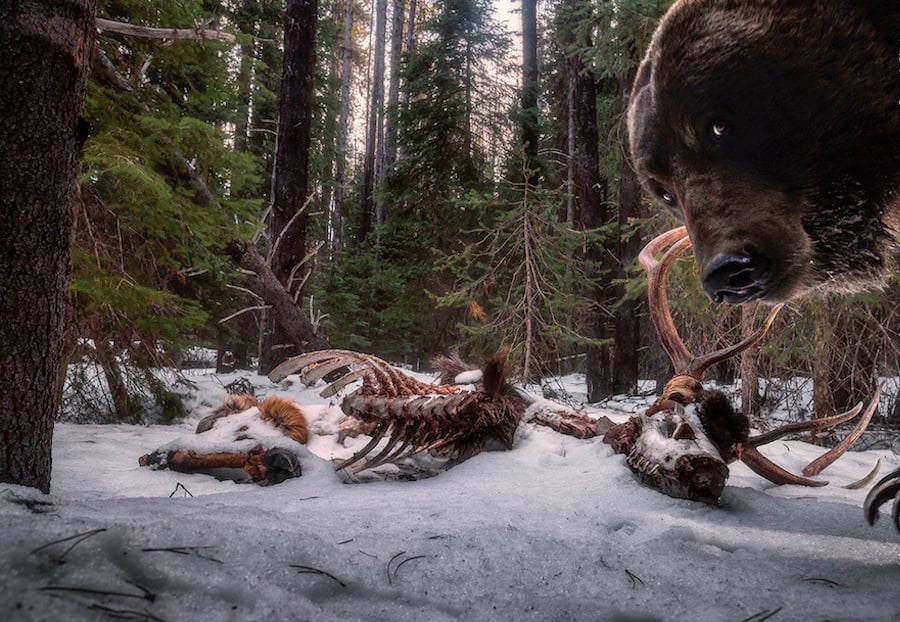 foto naturalistiche | Collater.al