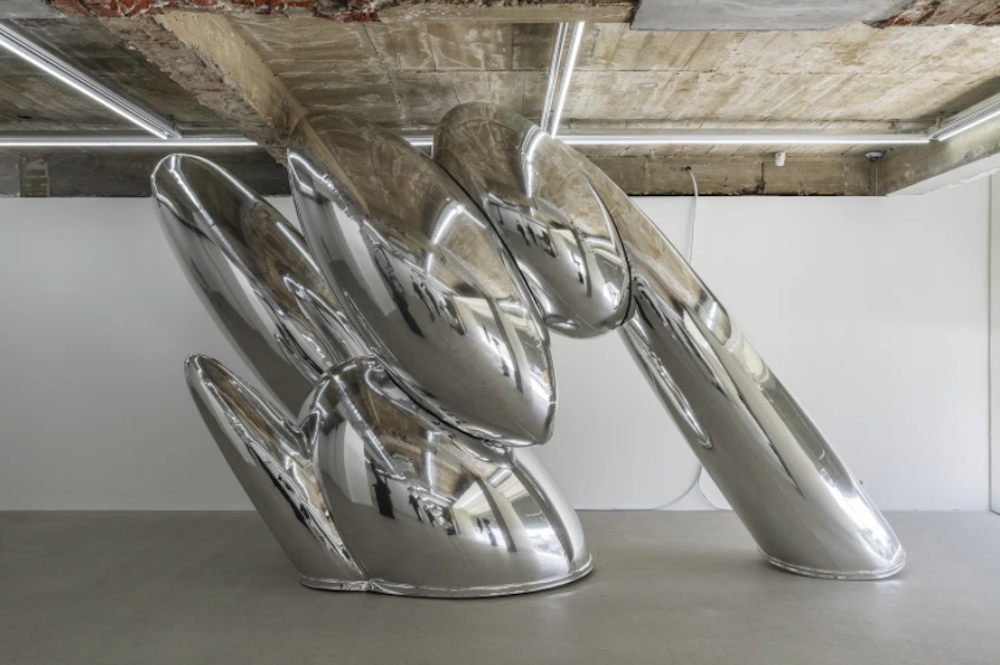 Jaewon Kang | Collater.al