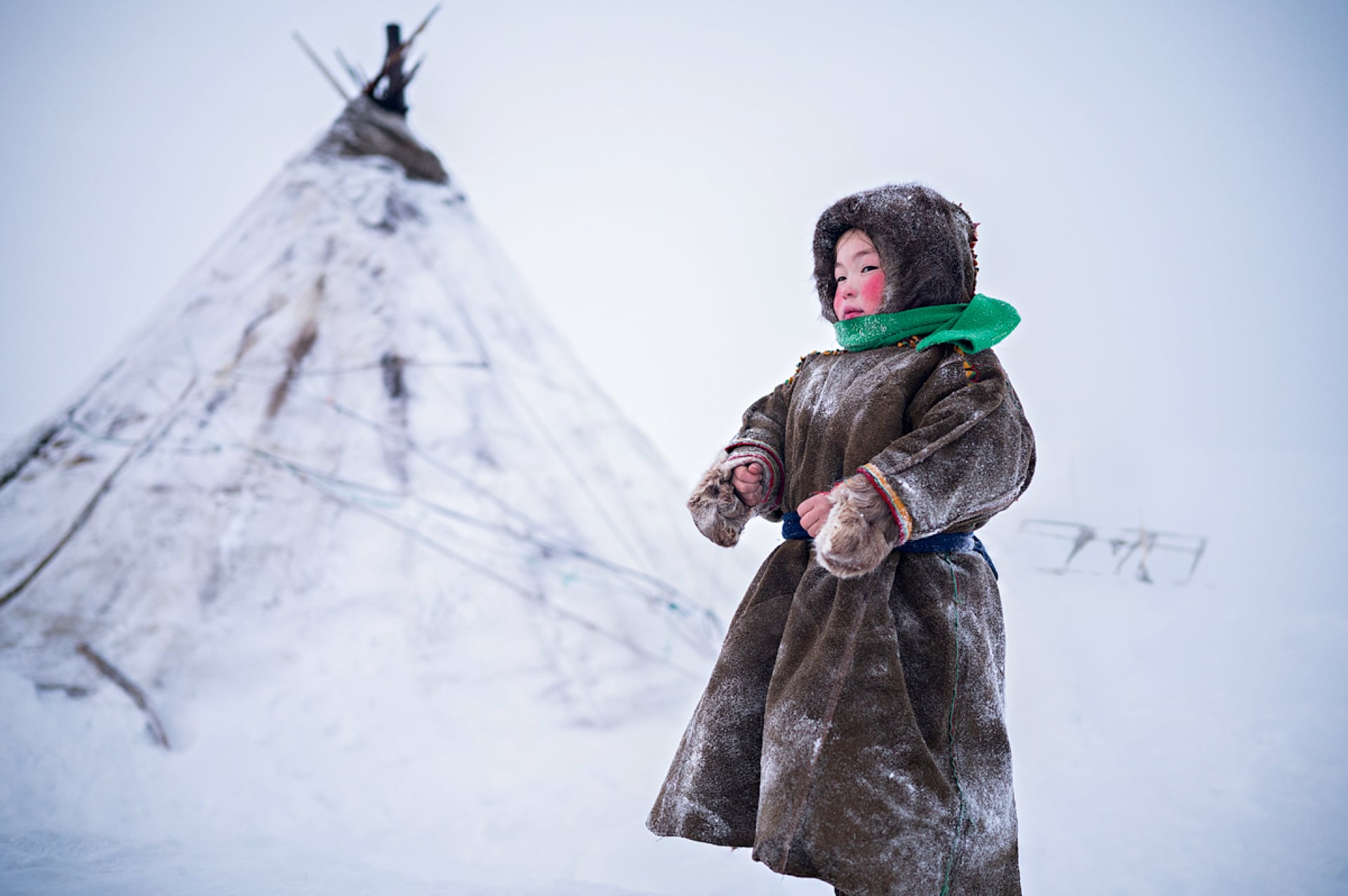 Nenets | Collater.al
