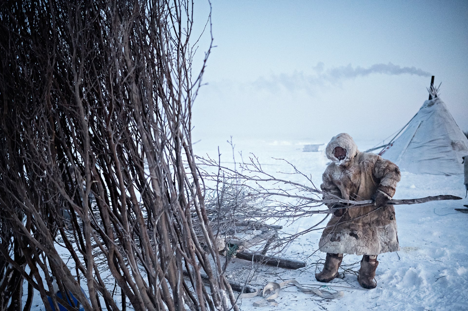 Nenets | Collater.al