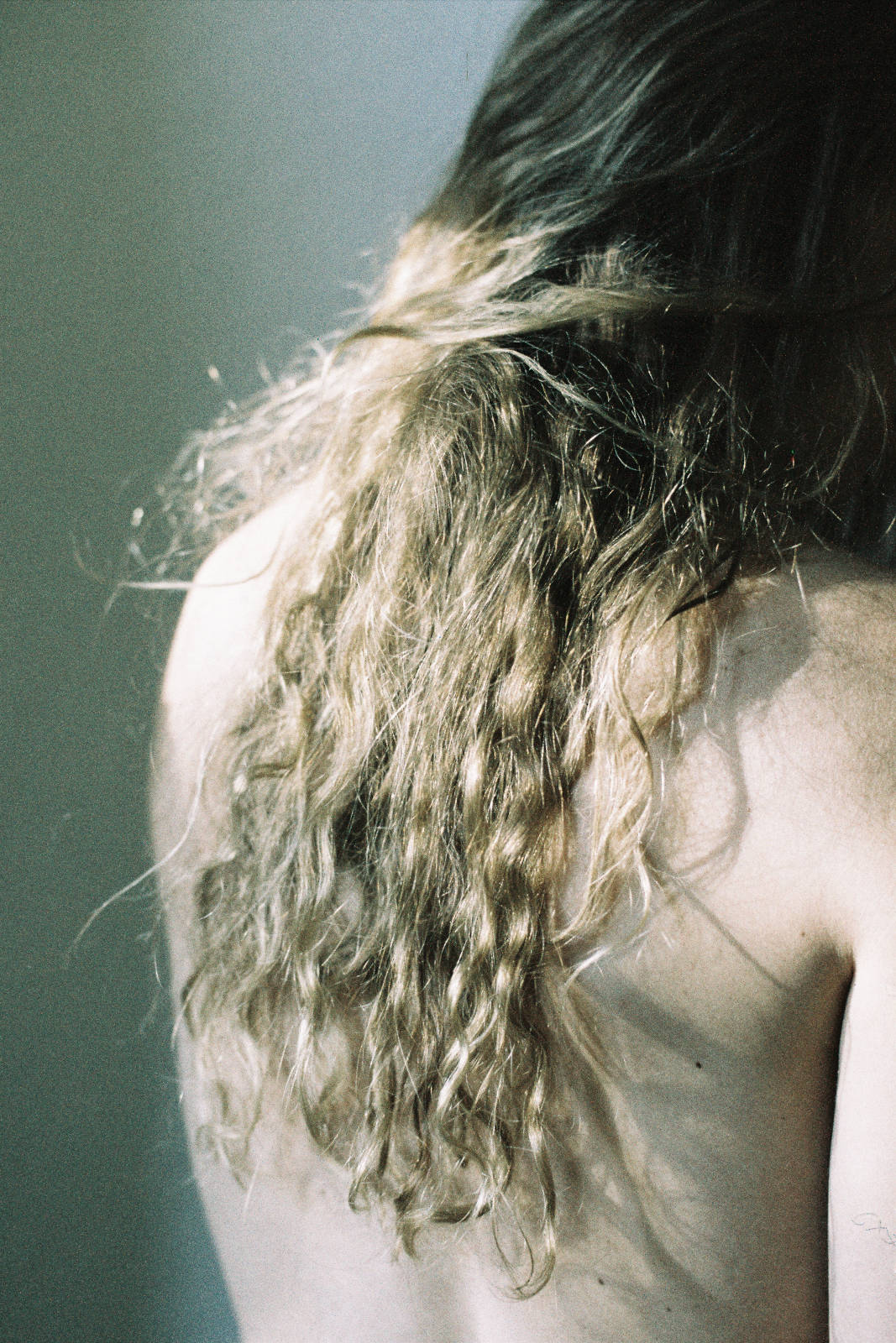 Patient.Wolves | Collater.al