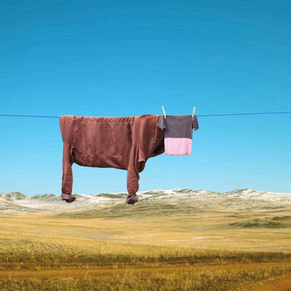 Helga Stentzel | Collater.al