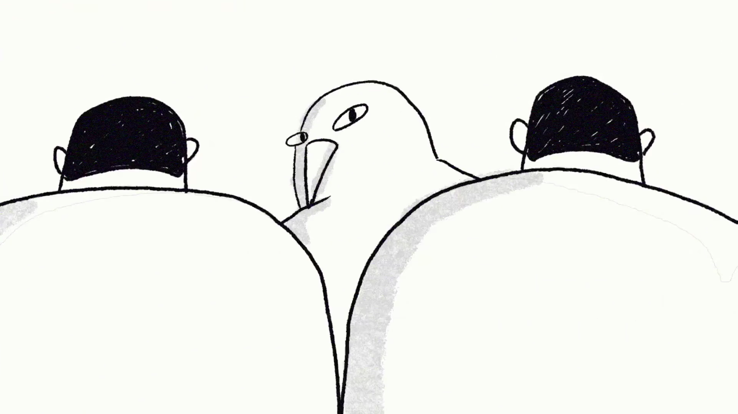 Pigeon | Collater.al