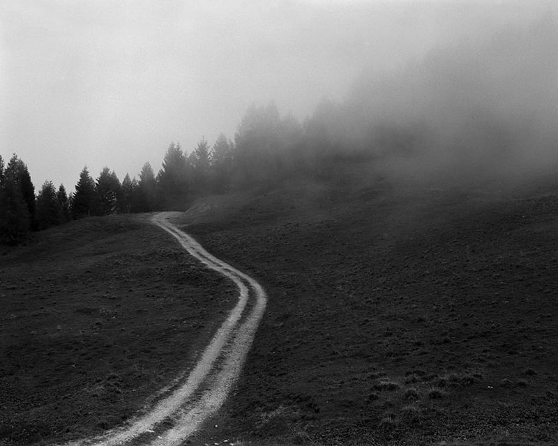 Giulia Degasperi | Collater.al