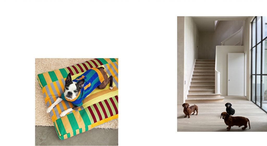 Barkitecture | Collater.al