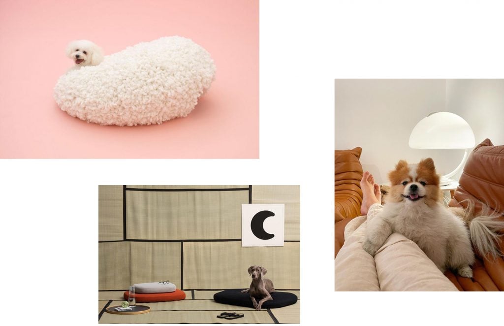 Barkitecture | Collater.al
