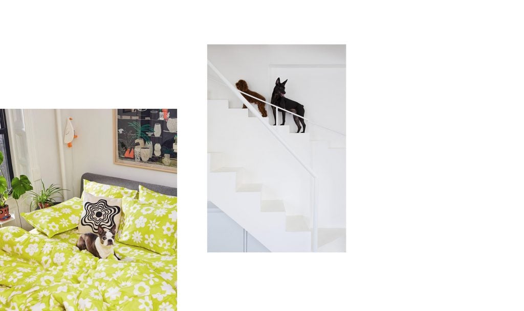 Barkitecture | Collater.al