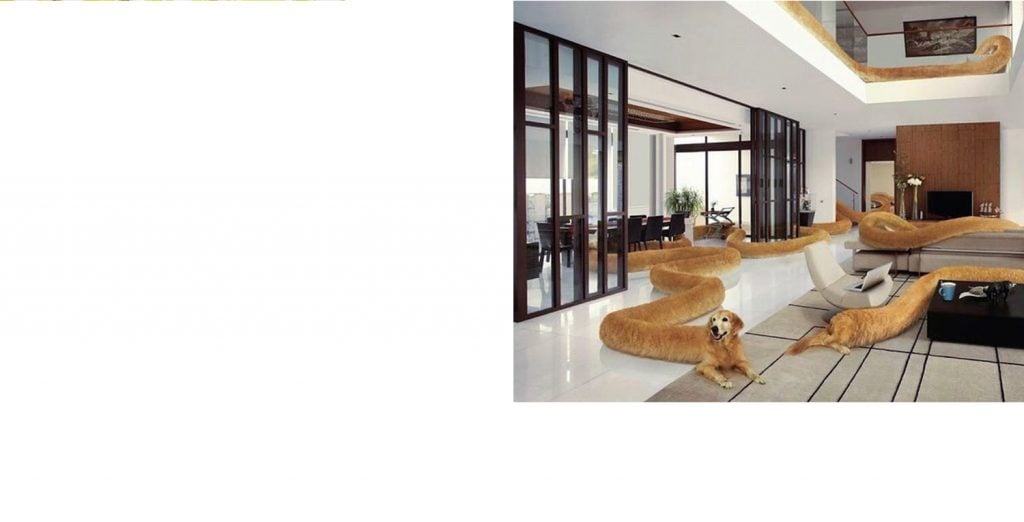 Barkitecture | Collater.al