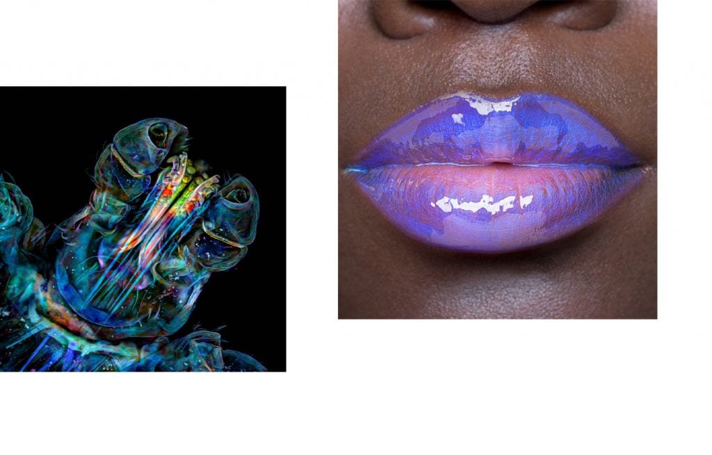 Iridescent | Collater.al