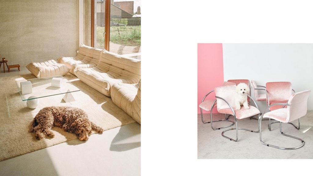 Barkitecture | Collater.al