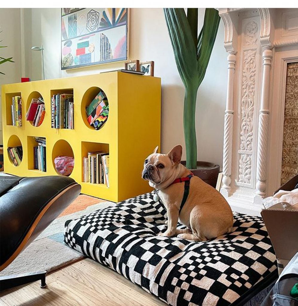 Barkitecture | Collater.al