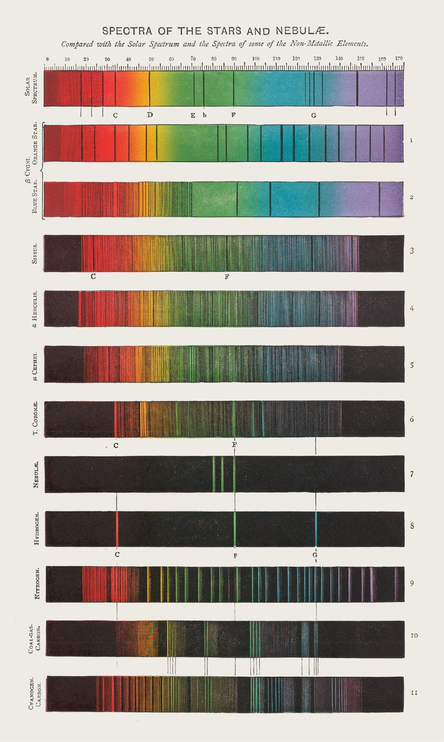 scienza | Collater.al