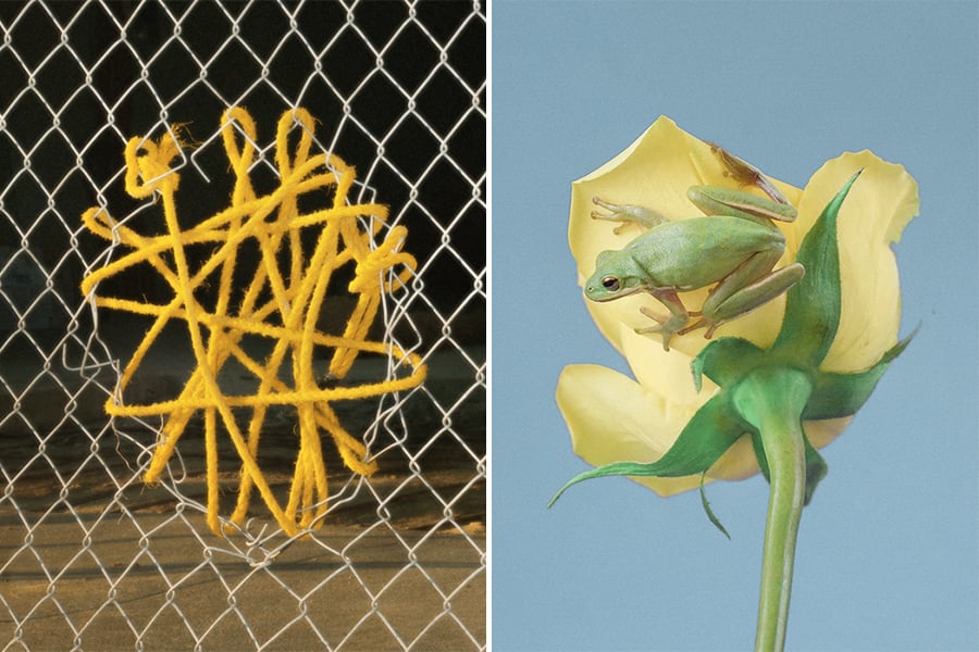 Tonje Thilesen | Collater.al