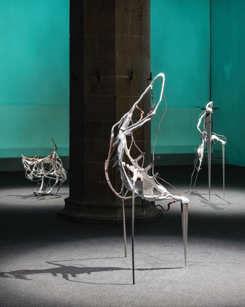 Camilla Alberti | Collater.al