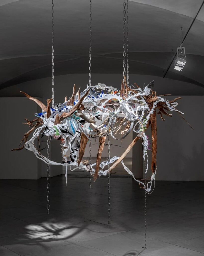 Camilla Alberti | Collater.al