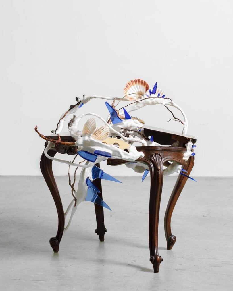 Camilla Alberti | Collater.al