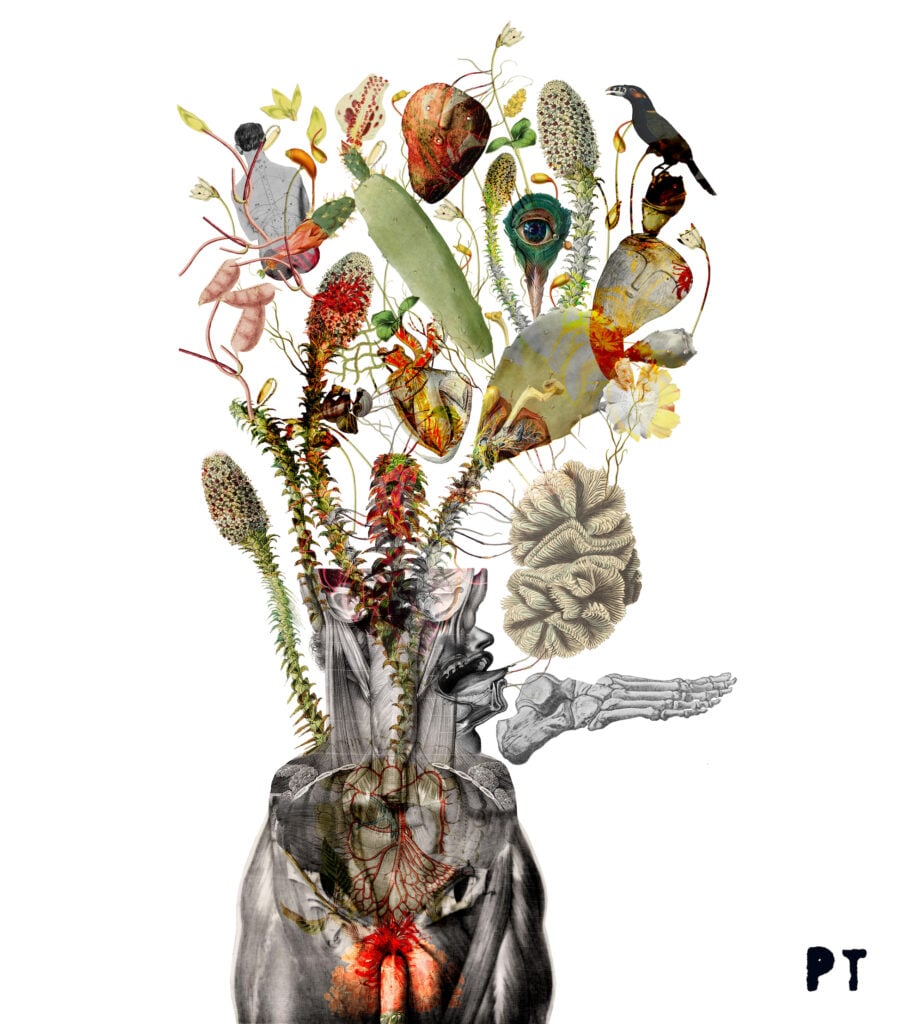 Di-Segnare il futuro | Collater.al