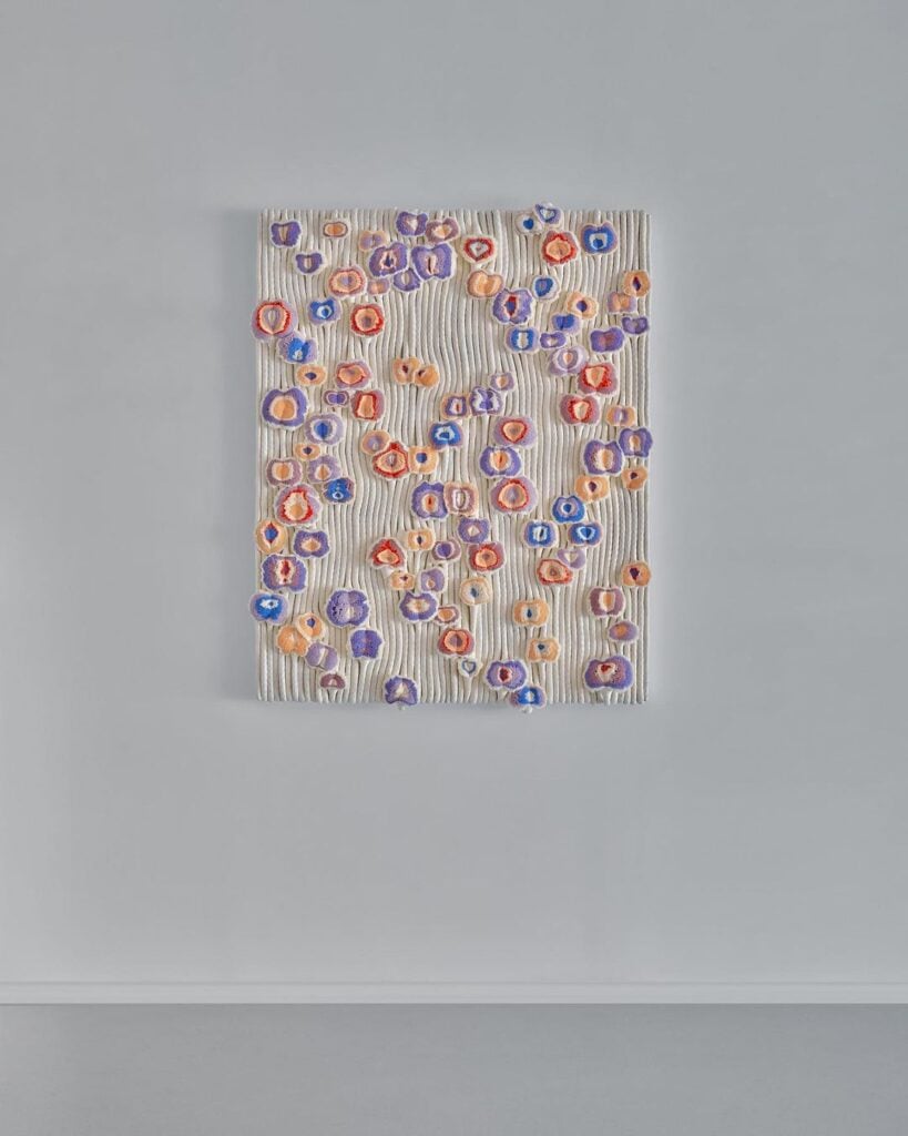 Joana Schneider | Collater.al