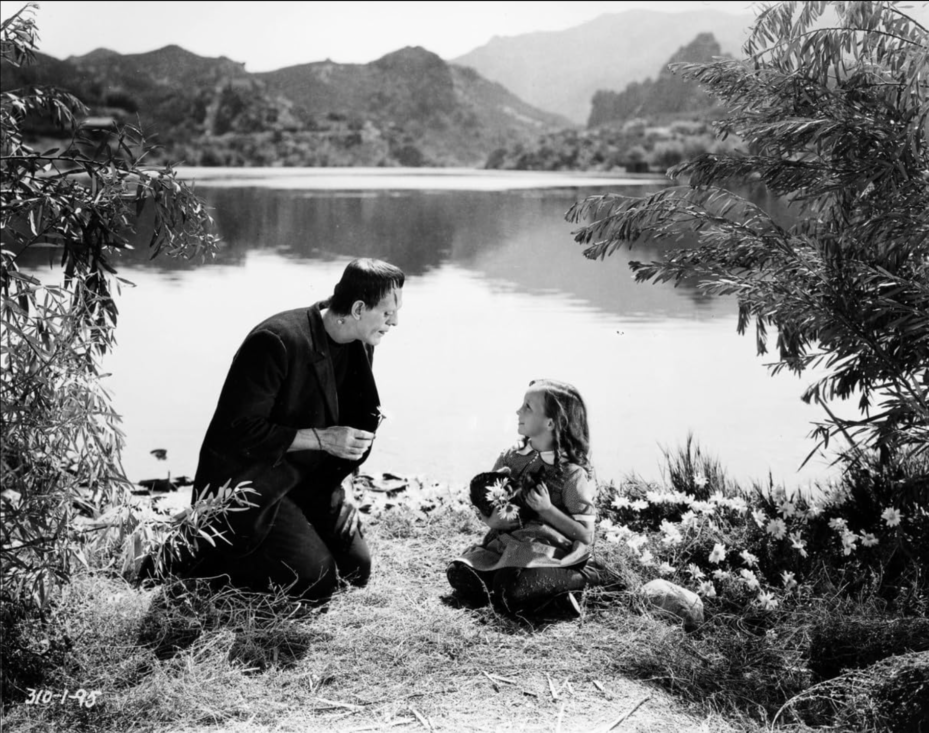 film halloween