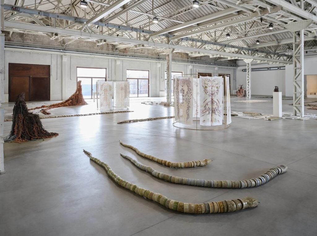 Chiara Camoni | Collater.al