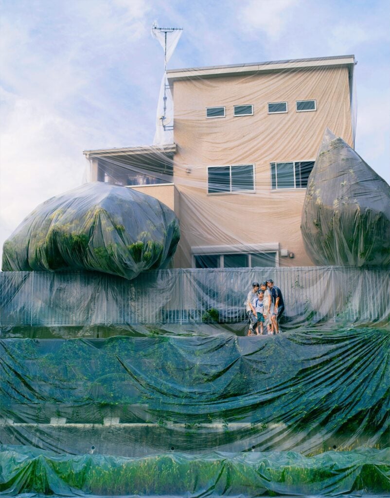 Photographer Hal | Collater.al