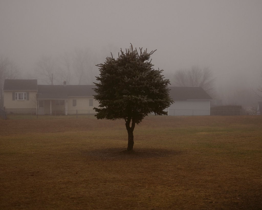 Patrick MacCormack