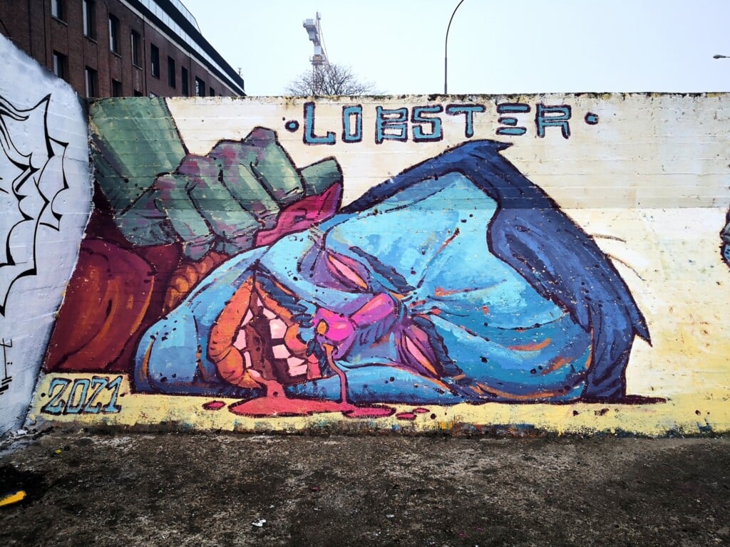 Lobster Robin - Collater.al Magazine