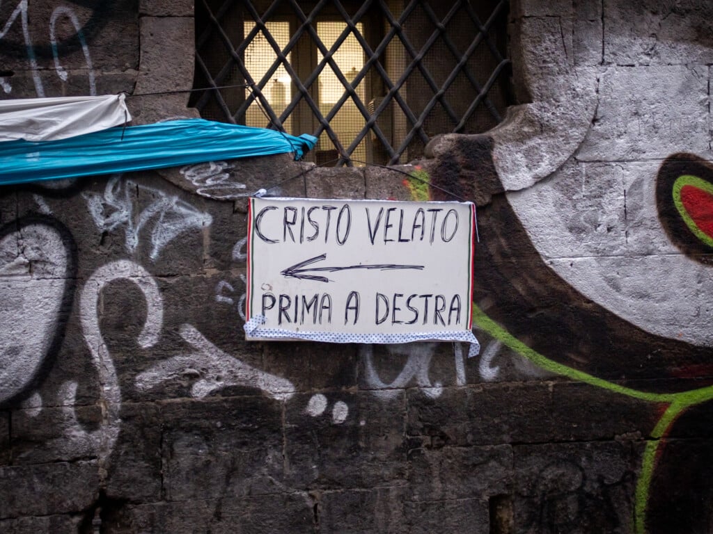 sofia scuotto