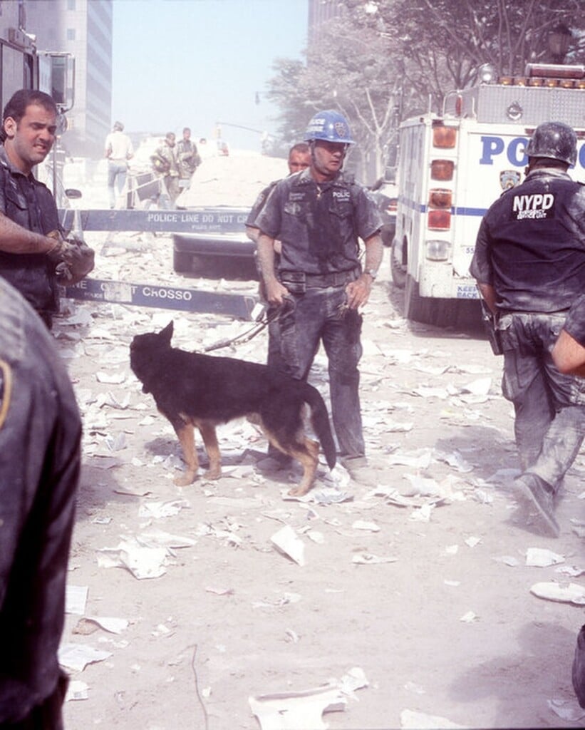 September 11