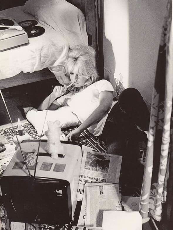 brigitte bardot