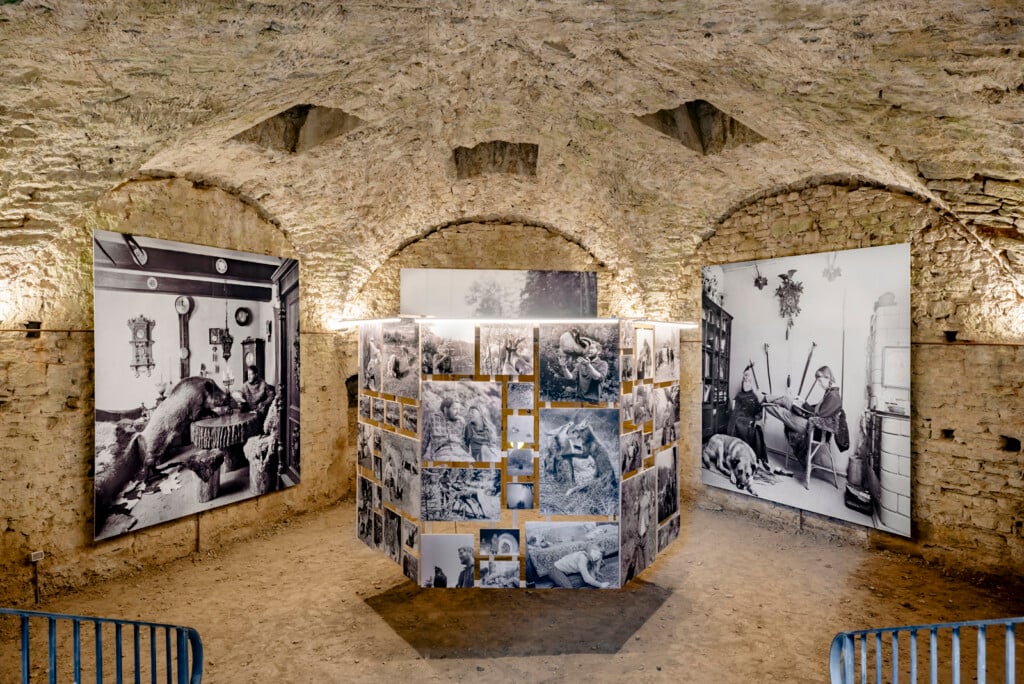 Cortona On The Move