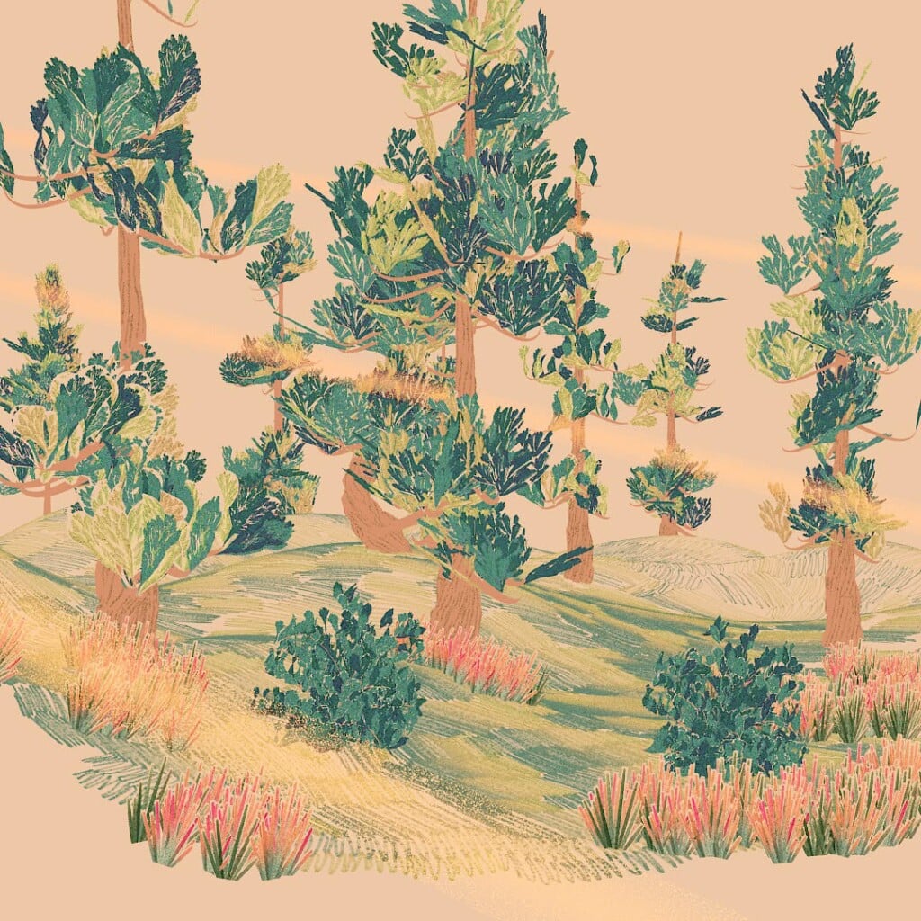 Robinsson Cravents