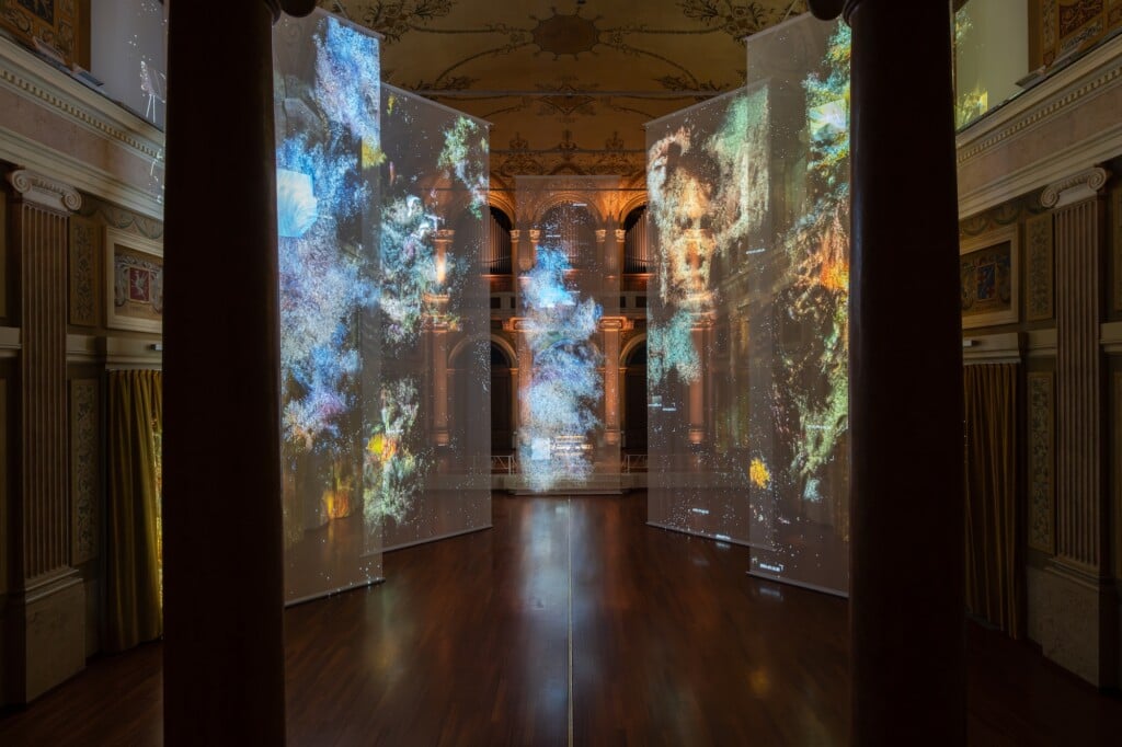 Anima Mundi
