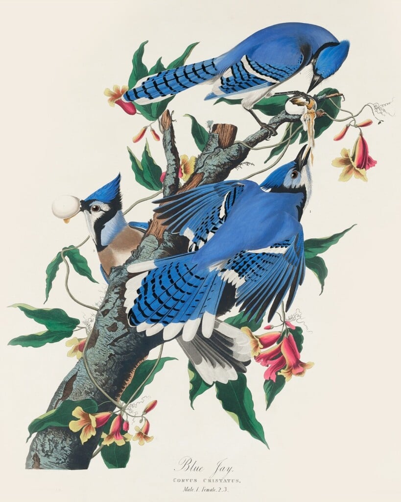 Guillermo Flores Pacheco