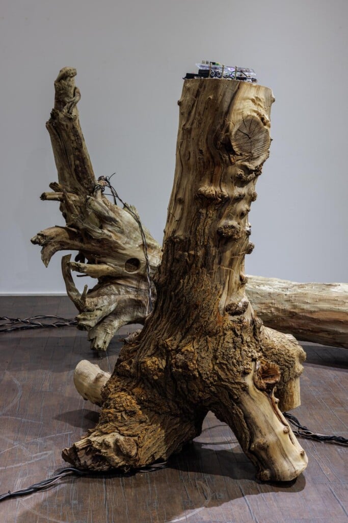 Venice Biennale