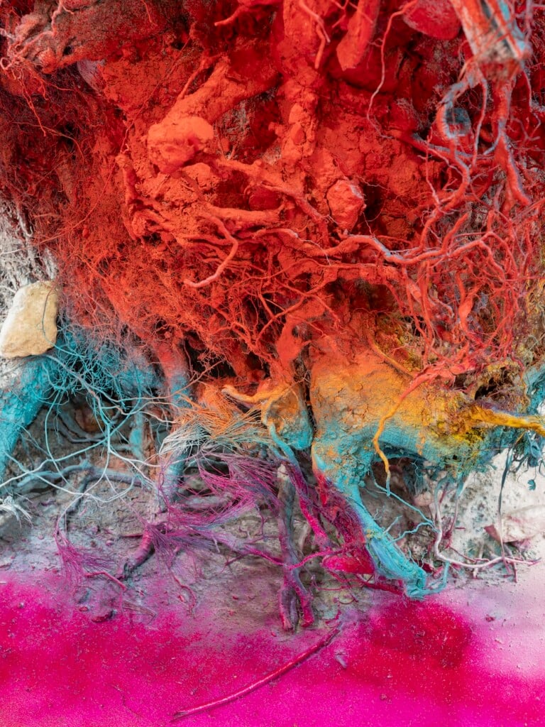 Katharina Grosse