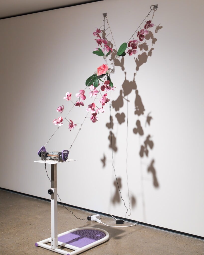 Rachel Youn