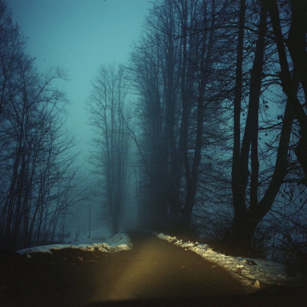 Davide Padovan