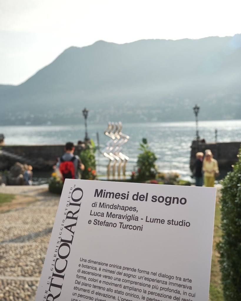 Mimesi del sogno
